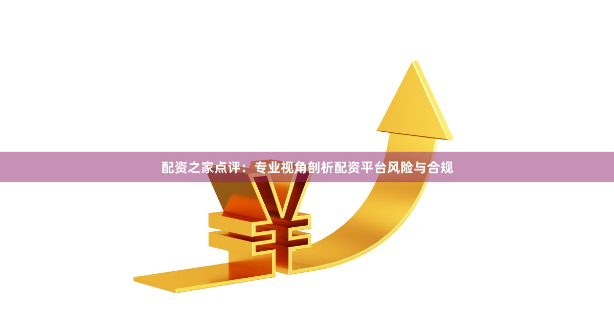 配资之家点评：专业视角剖析配资平台风险与合规